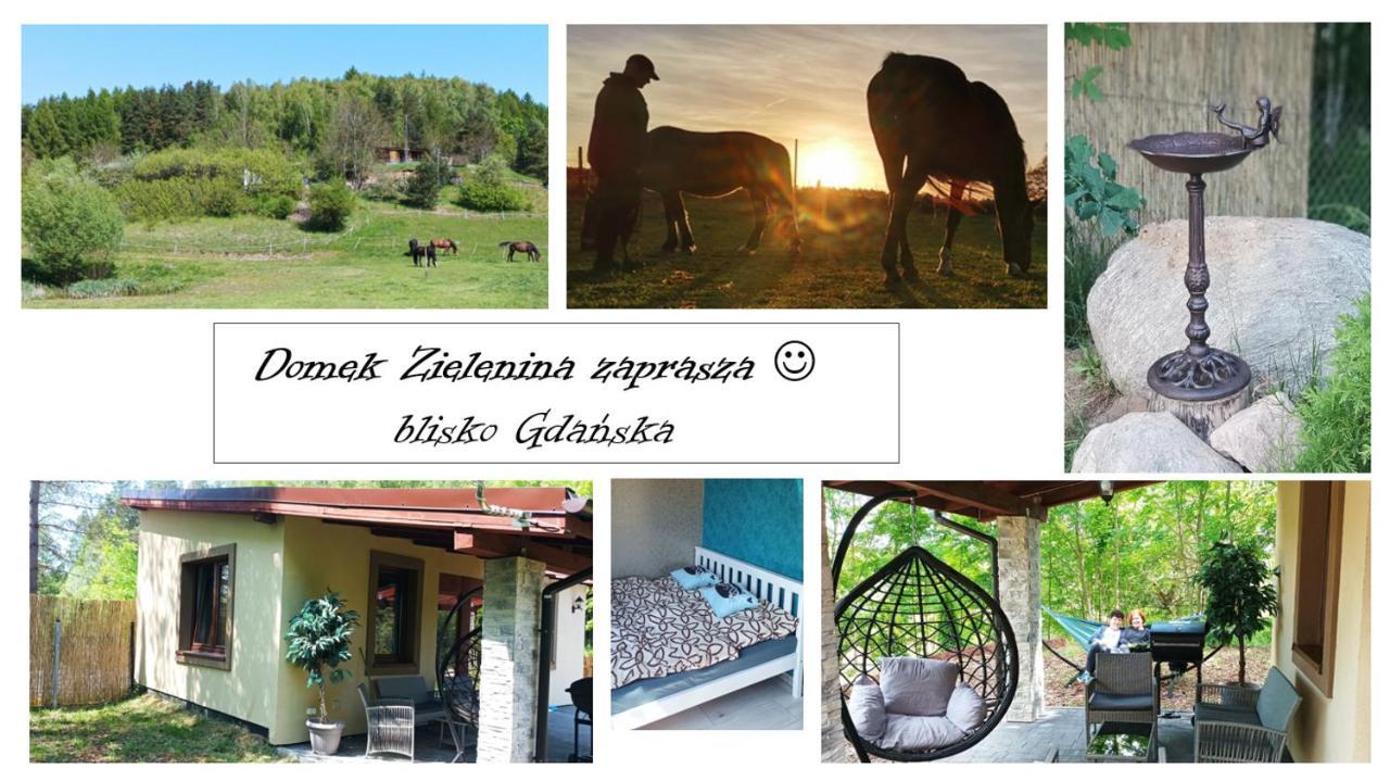 Domek Zielenina Villa Mierzeszyn Exterior foto