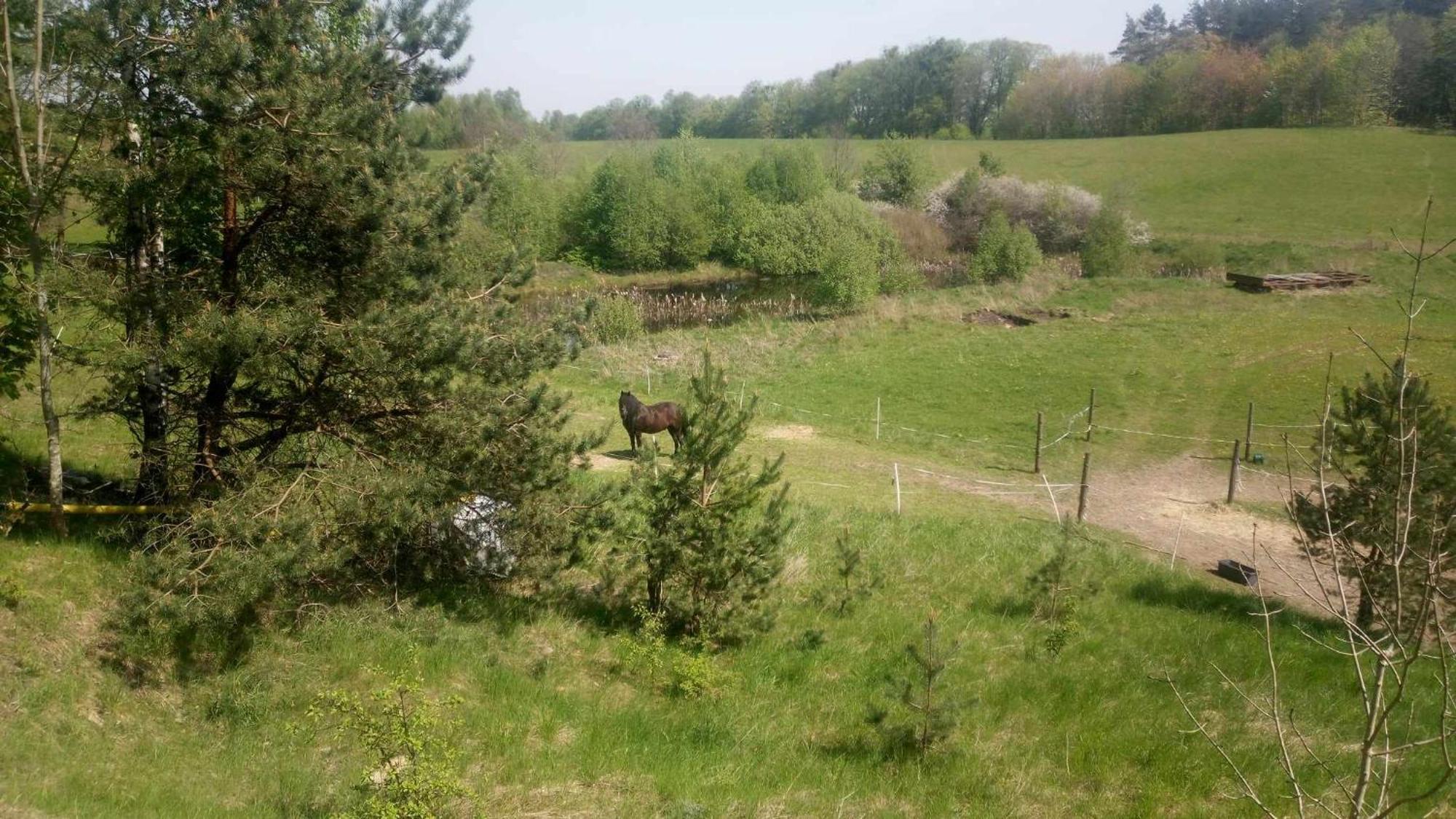 Domek Zielenina Mierzeszyn Exterior foto
